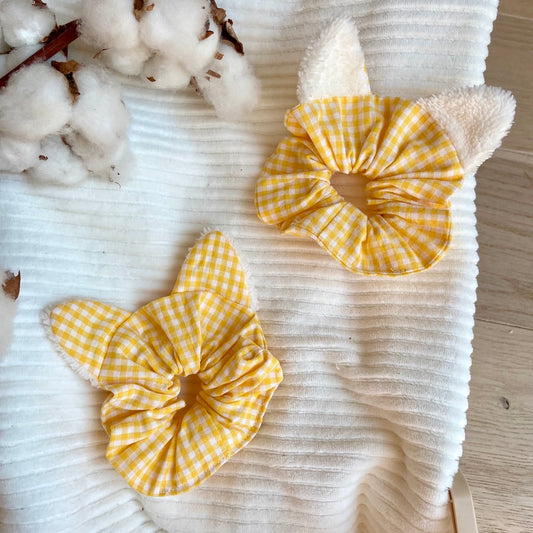 Le Cha-Chou qui part en pique-nique