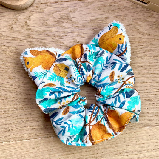 Le Cha-Chou qui aime les écureuils