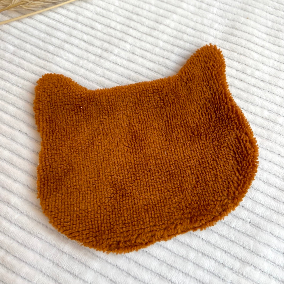 Le Chaton démaquillant qui fait un safari